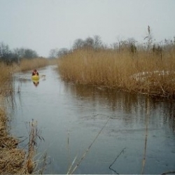 Canoeing