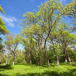 Nature tours