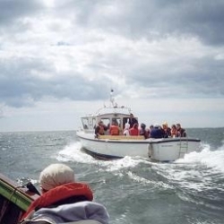 Erlebniswanderungen auf dem meer