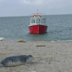 Erlebniswanderungen auf dem meer